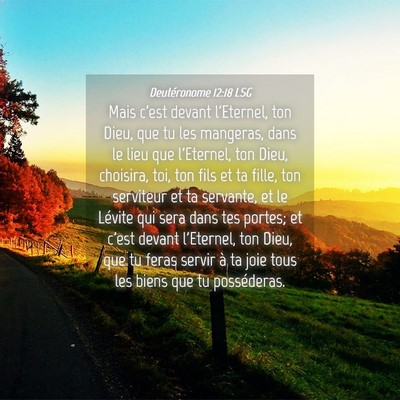 Picture 04 - Deutéronome 12:18 LSG - Mais c'est devant l'Eternel, ton Dieu, que tu les - Bible Verse Picture