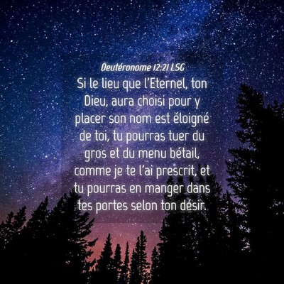 Picture 04 - Deutéronome 12:21 LSG - Si le lieu que l'Eternel, ton Dieu, aura choisi - Bible Verse Picture