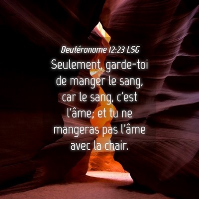 Picture 04 - Deutéronome 12:23 LSG - Seulement, garde-toi de manger le sang, car le - Bible Verse Picture