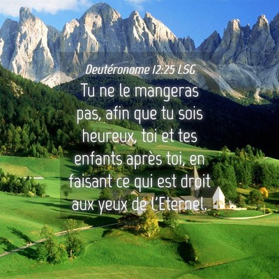 Picture 04 - Deutéronome 12:25 LSG - Tu ne le mangeras pas, afin que tu sois heureux, - Bible Verse Picture