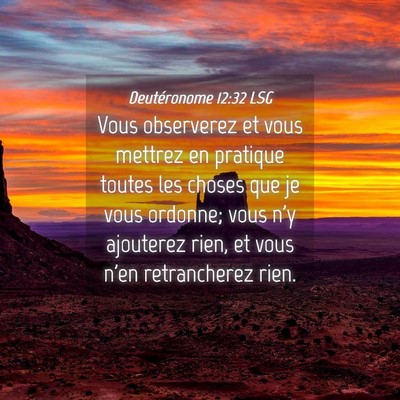 Picture 04 - Deutéronome 12:32 LSG - Vous observerez et vous mettrez en pratique - Bible Verse Picture