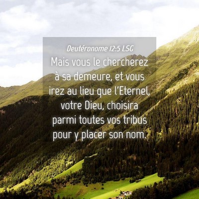 Picture 04 - Deutéronome 12:5 LSG - Mais vous le chercherez à sa demeure, et vous - Bible Verse Picture