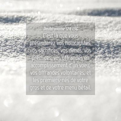 Picture 04 - Deutéronome 12:6 LSG - C'est là que vous présenterez vos holocaustes, - Bible Verse Picture