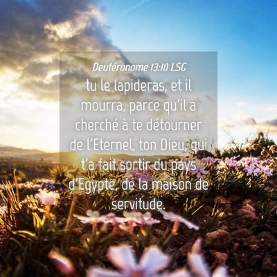 Picture 04 - Deutéronome 13:10 LSG - tu le lapideras, et il mourra, parce qu'il a - Bible Verse Picture
