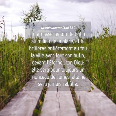 Picture 04 - Deutéronome 13:16 LSG - Tu amasseras tout le butin au milieu de la place, - Bible Verse Picture