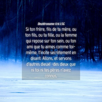 Picture 04 - Deutéronome 13:6 LSG - Si ton frère, fils de ta mère, ou ton fils, ou - Bible Verse Picture