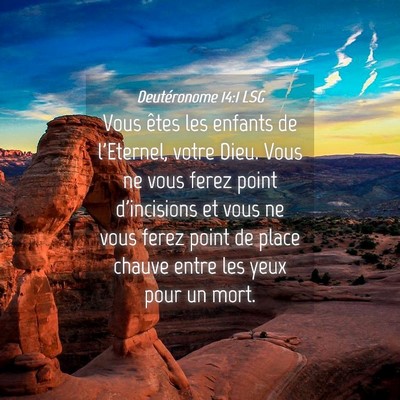 Picture 04 - Deutéronome 14:1 LSG - Vous êtes les enfants de l'Eternel, votre Dieu. - Bible Verse Picture
