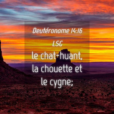 Picture 04 - Deutéronome 14:16 LSG - le chat-huant, la chouette et le - Bible Verse Picture