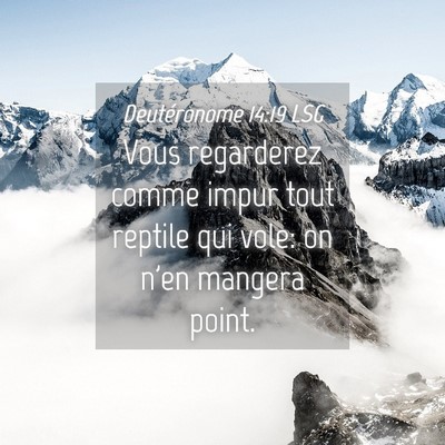Picture 04 - Deutéronome 14:19 LSG - Vous regarderez comme impur tout reptile qui - Bible Verse Picture