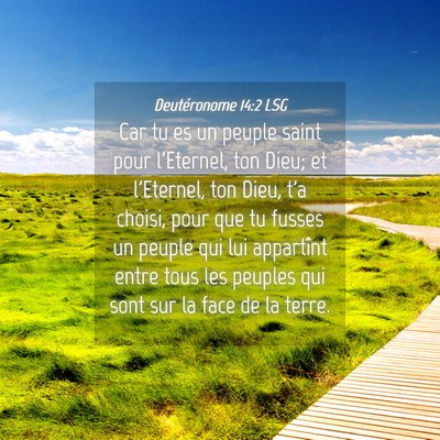 Picture 04 - Deutéronome 14:2 LSG - Car tu es un peuple saint pour l'Eternel, ton - Bible Verse Picture