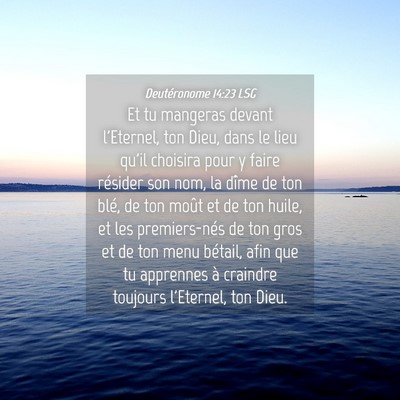 Picture 04 - Deutéronome 14:23 LSG - Et tu mangeras devant l'Eternel, ton Dieu, dans - Bible Verse Picture