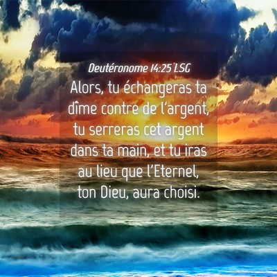 Picture 04 - Deutéronome 14:25 LSG - Alors, tu échangeras ta dîme contre de - Bible Verse Picture