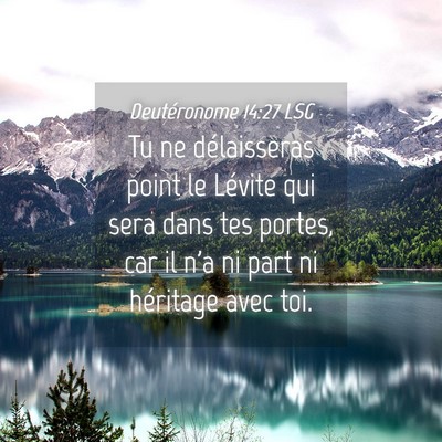 Picture 04 - Deutéronome 14:27 LSG - Tu ne délaisseras point le Lévite qui sera dans - Bible Verse Picture