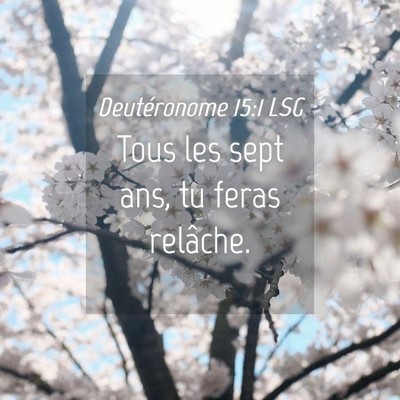 Picture 04 - Deutéronome 15:1 LSG - Tous les sept ans, tu feras - Bible Verse Picture