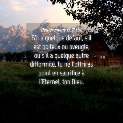 Picture 04 - Deutéronome 15:21 LSG - S'il a quelque défaut, s'il est boiteux ou - Bible Verse Picture