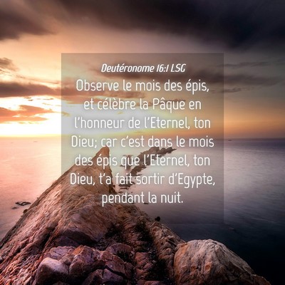 Picture 04 - Deutéronome 16:1 LSG - Observe le mois des épis, et célèbre la Pâque - Bible Verse Picture