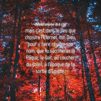 Picture 04 - Deutéronome 16:6 LSG - mais c'est dans le lieu que choisira l'Eternel, - Bible Verse Picture