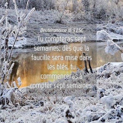 Picture 04 - Deutéronome 16:9 LSG - Tu compteras sept semaines; dès que la faucille - Bible Verse Picture