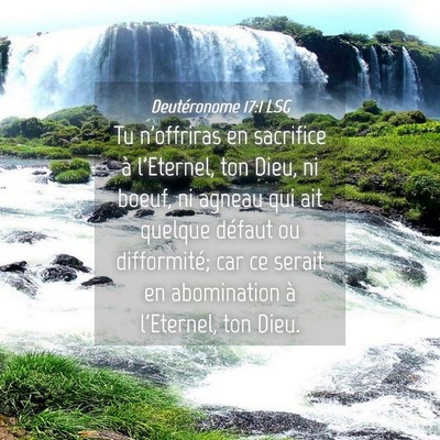 Picture 04 - Deutéronome 17:1 LSG - Tu n'offriras en sacrifice à l'Eternel, ton - Bible Verse Picture