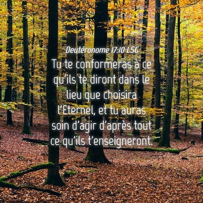 Picture 04 - Deutéronome 17:10 LSG - Tu te conformeras à ce qu'ils te diront dans le - Bible Verse Picture