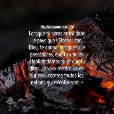Picture 04 - Deutéronome 17:14 LSG - Lorsque tu seras entré dans le pays que - Bible Verse Picture