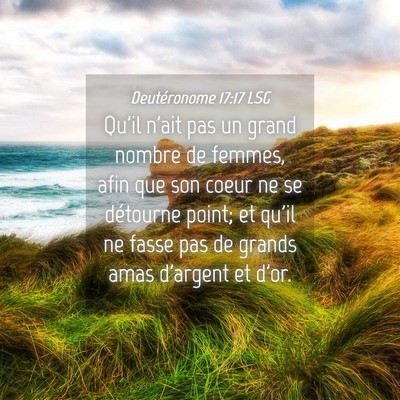 Picture 04 - Deutéronome 17:17 LSG - Qu'il n'ait pas un grand nombre de femmes, afin - Bible Verse Picture