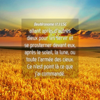 Picture 04 - Deutéronome 17:3 LSG - allant après d'autres dieux pour les servir et - Bible Verse Picture
