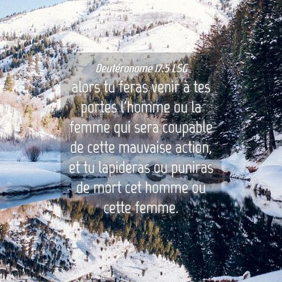 Picture 04 - Deutéronome 17:5 LSG - alors tu feras venir à tes portes l'homme ou la - Bible Verse Picture