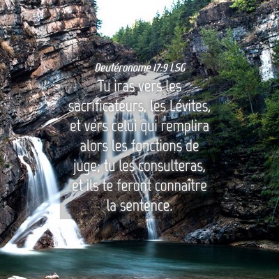 Picture 04 - Deutéronome 17:9 LSG - Tu iras vers les sacrificateurs, les Lévites, et - Bible Verse Picture