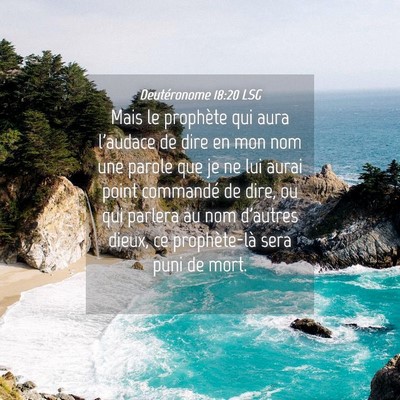 Picture 04 - Deutéronome 18:20 LSG - Mais le prophète qui aura l'audace de dire en - Bible Verse Picture