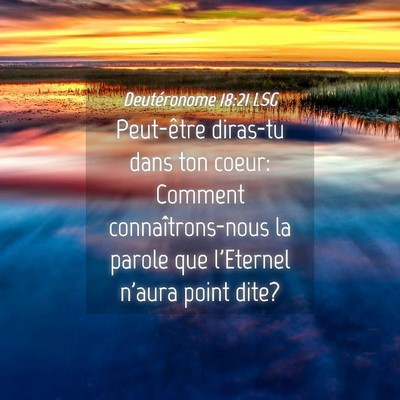 Picture 04 - Deutéronome 18:21 LSG - Peut-être diras-tu dans ton coeur: Comment - Bible Verse Picture