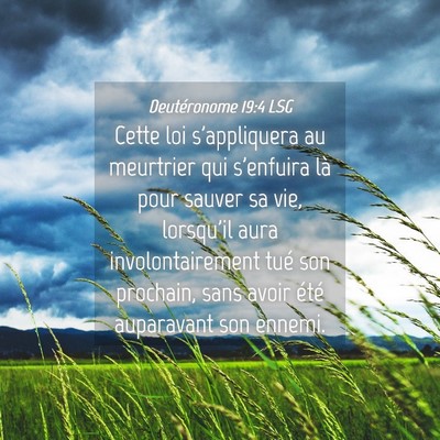Picture 04 - Deutéronome 19:4 LSG - Cette loi s'appliquera au meurtrier qui s'enfuira - Bible Verse Picture