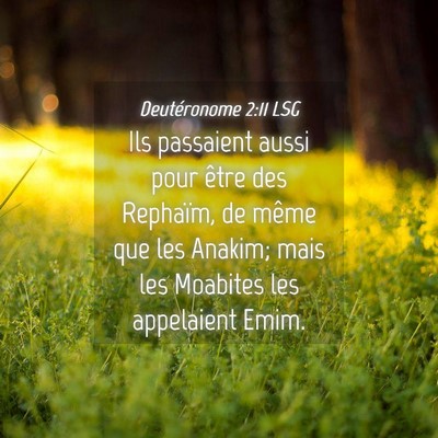 Picture 04 - Deutéronome 2:11 LSG - Ils passaient aussi pour être des Rephaïm, de - Bible Verse Picture