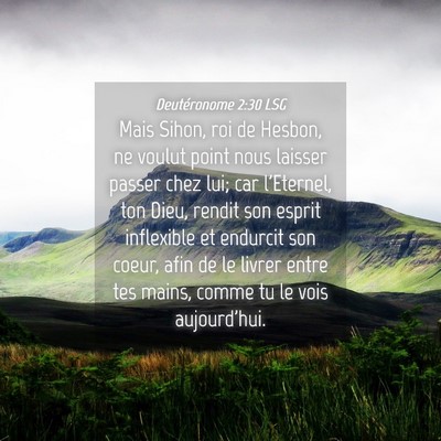 Picture 04 - Deutéronome 2:30 LSG - Mais Sihon, roi de Hesbon, ne voulut point nous - Bible Verse Picture