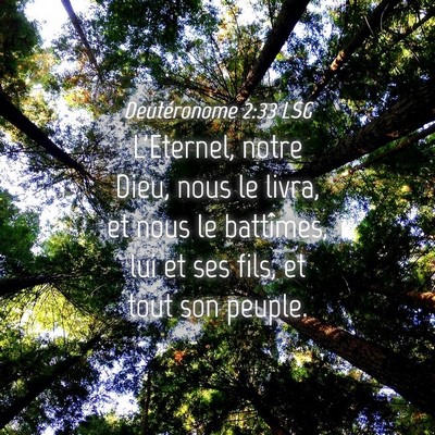 Picture 04 - Deutéronome 2:33 LSG - L'Eternel, notre Dieu, nous le livra, et nous le - Bible Verse Picture