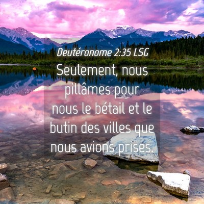 Picture 04 - Deutéronome 2:35 LSG - Seulement, nous pillâmes pour nous le bétail et - Bible Verse Picture