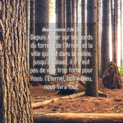 Picture 04 - Deutéronome 2:36 LSG - Depuis Aroër sur les bords du torrent de - Bible Verse Picture