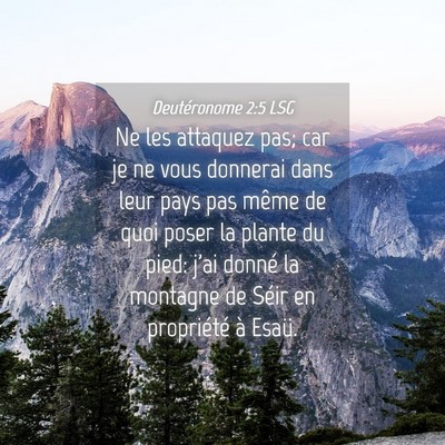 Picture 04 - Deutéronome 2:5 LSG - Ne les attaquez pas; car je ne vous donnerai dans - Bible Verse Picture