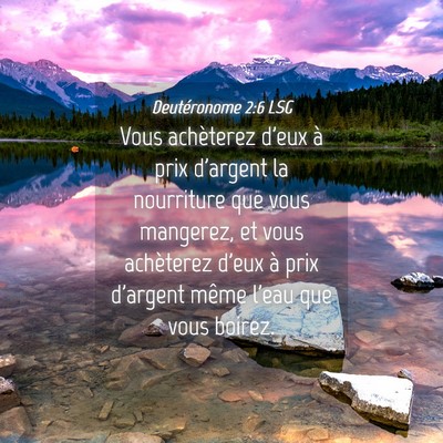Picture 04 - Deutéronome 2:6 LSG - Vous achèterez d'eux à prix d'argent la - Bible Verse Picture