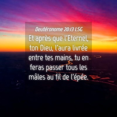 Picture 04 - Deutéronome 20:13 LSG - Et après que l'Eternel, ton Dieu, l'aura livrée - Bible Verse Picture