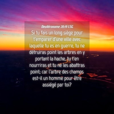 Picture 04 - Deutéronome 20:19 LSG - Si tu fais un long siège pour t'emparer d'une - Bible Verse Picture