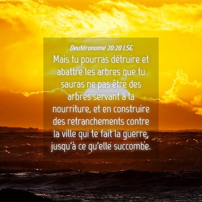 Picture 04 - Deutéronome 20:20 LSG - Mais tu pourras détruire et abattre les arbres - Bible Verse Picture