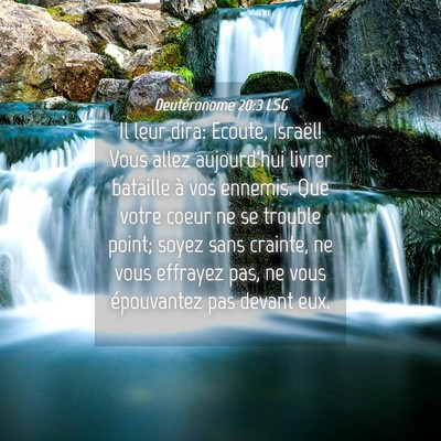 Picture 04 - Deutéronome 20:3 LSG - Il leur dira: Ecoute, Israël! Vous allez - Bible Verse Picture