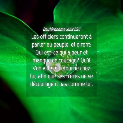 Picture 04 - Deutéronome 20:8 LSG - Les officiers continueront à parler au peuple, - Bible Verse Picture