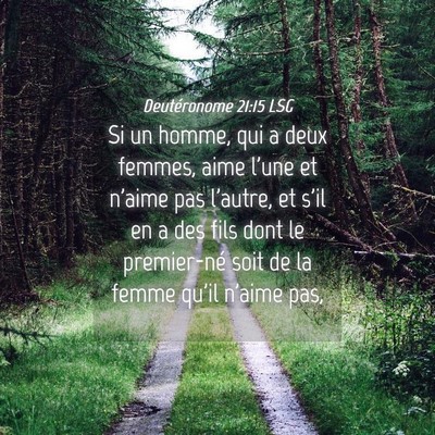 Picture 04 - Deutéronome 21:15 LSG - Si un homme, qui a deux femmes, aime l'une et - Bible Verse Picture