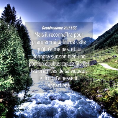 Picture 04 - Deutéronome 21:17 LSG - Mais il reconnaîtra pour premier-né le fils de - Bible Verse Picture