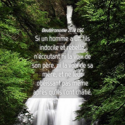 Picture 04 - Deutéronome 21:18 LSG - Si un homme a un fils indocile et rebelle, - Bible Verse Picture
