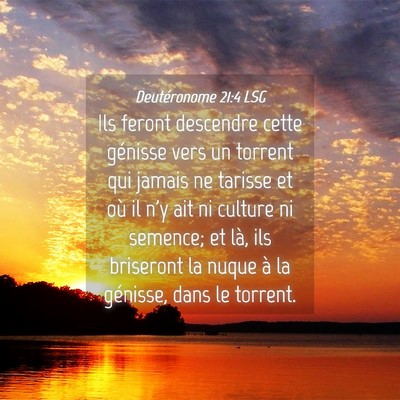 Picture 04 - Deutéronome 21:4 LSG - Ils feront descendre cette génisse vers un - Bible Verse Picture