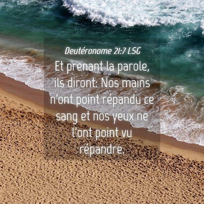 Picture 04 - Deutéronome 21:7 LSG - Et prenant la parole, ils diront: Nos mains n'ont - Bible Verse Picture