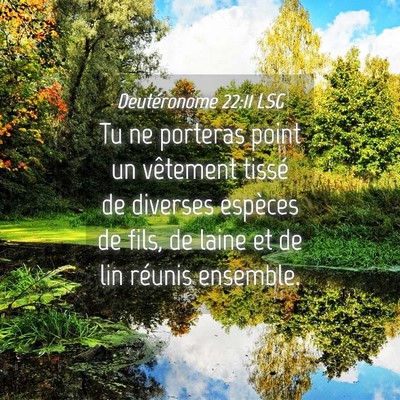 Picture 04 - Deutéronome 22:11 LSG - Tu ne porteras point un vêtement tissé de - Bible Verse Picture